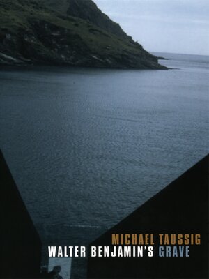 cover image of Walter Benjamin's Grave